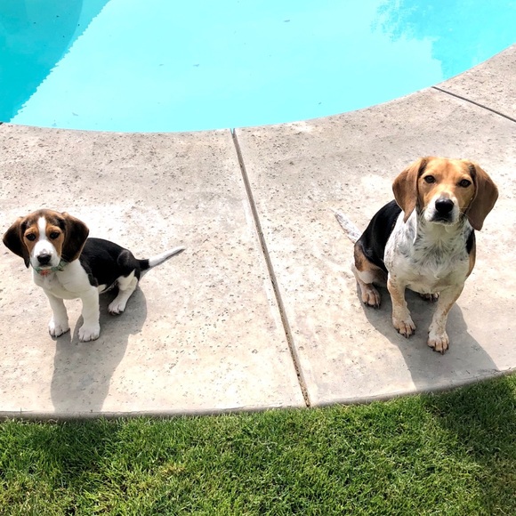 Meet your Posher, Christine - Picture 15 of 16